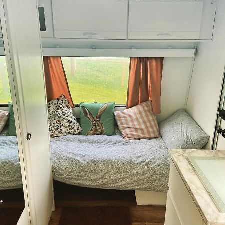 Cosy Caravan At Carrigeen Glamping Hotell Kilkenny Eksteriør bilde