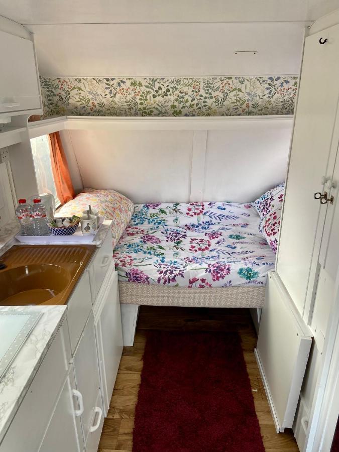 Cosy Caravan At Carrigeen Glamping Hotell Kilkenny Eksteriør bilde