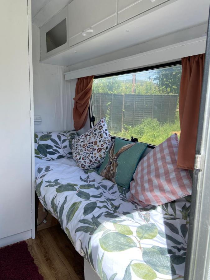 Cosy Caravan At Carrigeen Glamping Kilkenny Eksteriør bilde